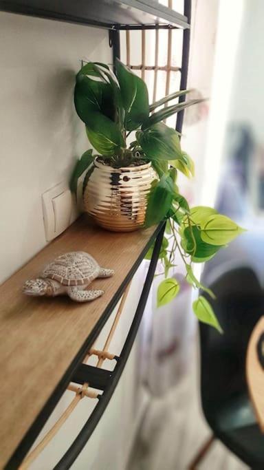 Apartment Lammi